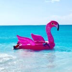 Pink Flamingo Party FLoat